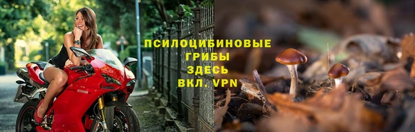 дмт Кулебаки