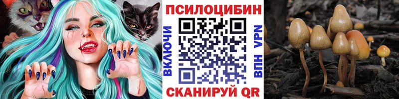 Галлюциногенные грибы Cubensis  Купить закладки  Иннополис 